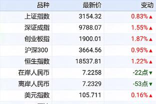 杜加里：巴西的第一选择肯定是齐达内，但被婉拒了